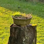 Dhotes Vue Jardin Coucher De Soleil A La Campagne Haguenau