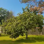 Guest house Dhotes Vue Jardin Coucher De Soleil A La Campagne Haguenau