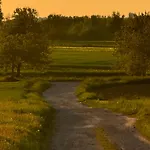 Dhotes Vue Jardin Coucher De Soleil A La Campagne Haguenau