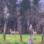 Dhotes Vue Jardin Coucher De Soleil A La Campagne Guest house