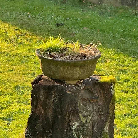 Dhotes Vue Jardin Coucher De Soleil A La Campagne Haguenau