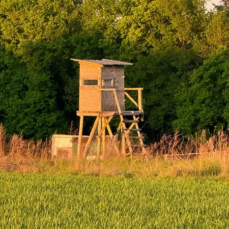 Dhotes Vue Jardin Coucher De Soleil A La Campagne