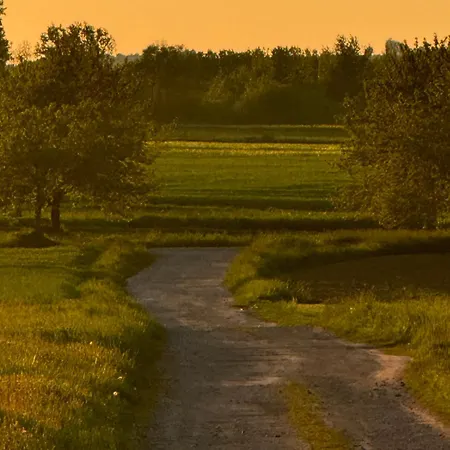 Dhotes Vue Jardin Coucher De Soleil A La Campagne Haguenau