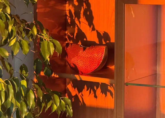 Dhotes Vue Jardin Coucher De Soleil A La Campagne 3* Haguenau