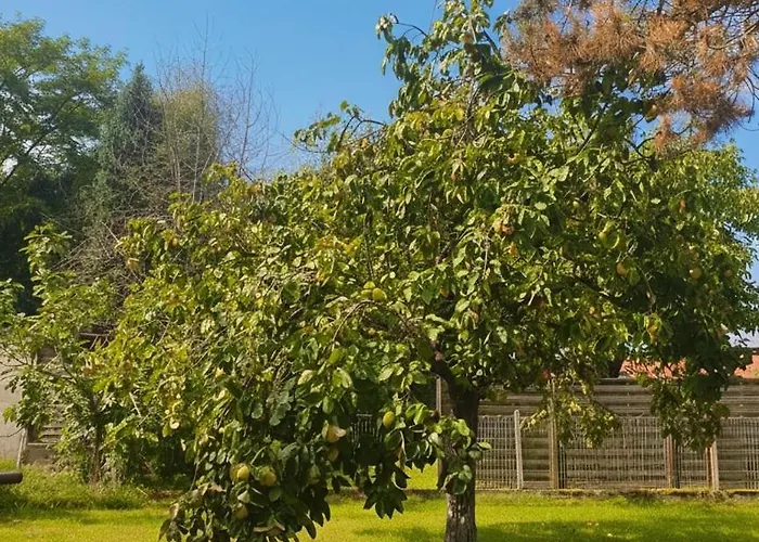 Guest house Dhotes Vue Jardin Coucher De Soleil A La Campagne Haguenau