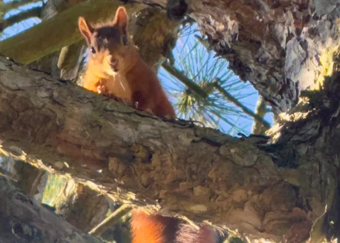 Dhotes Vue Jardin Coucher De Soleil A La Campagne Haguenau