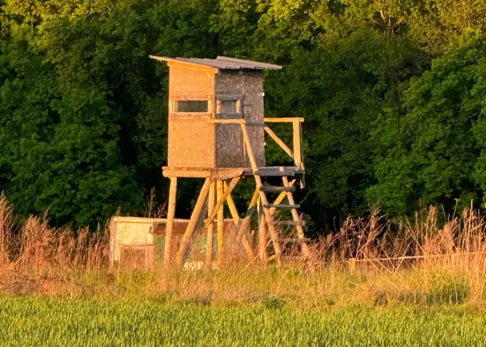 Dhotes Vue Jardin Coucher De Soleil A La Campagne