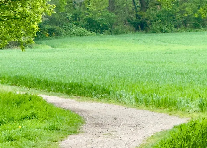Dhotes Vue Jardin Coucher De Soleil A La Campagne 3* Haguenau